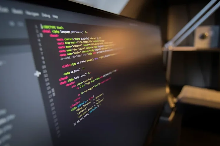 Custom Web App vs Website Template: Kapan Bisnis Butuh Sistem Kustom?